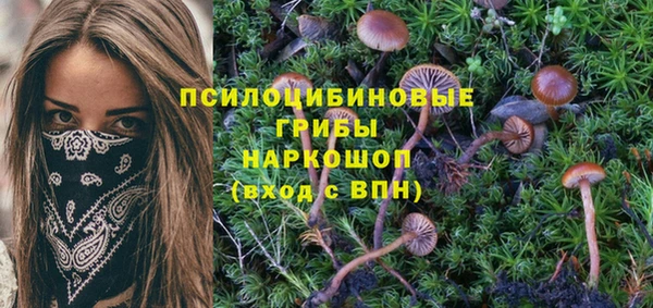 гидра Надым