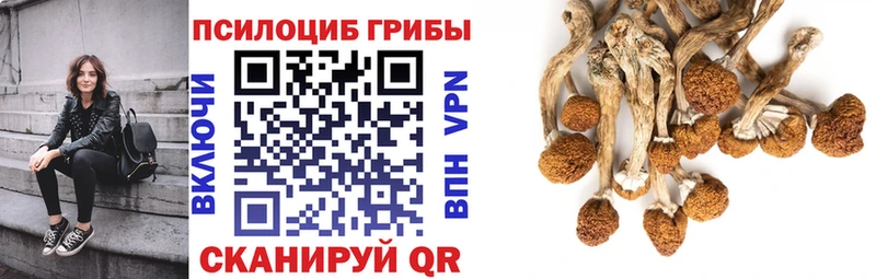 Псилоцибиновые грибы ЛСД  как найти наркотики  Элиста 