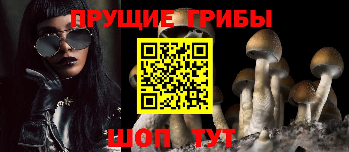 Галлюциногенные грибы прущие грибы  Вход с VPN  Элиста 